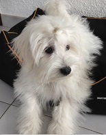 Avatar du membre
