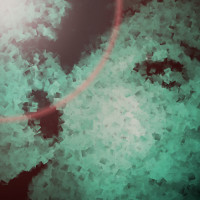 Avatar du membre