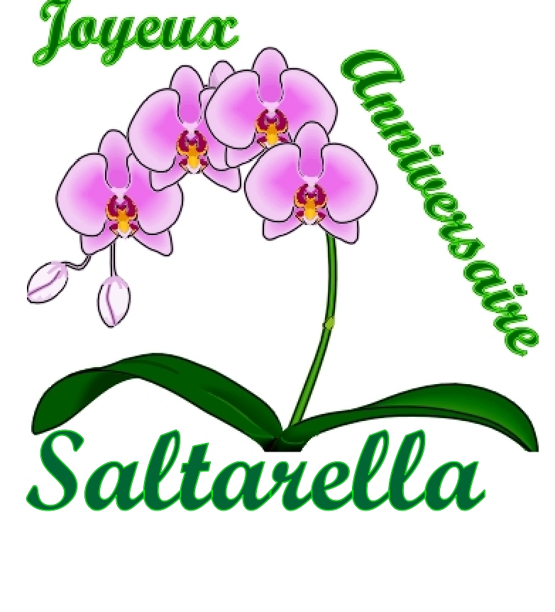 Anniversaire Saltarella.jpg