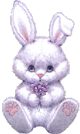 lapin clin d'oeil 02.gif
