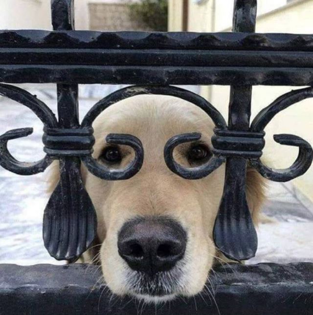 labra-rabby.jpg