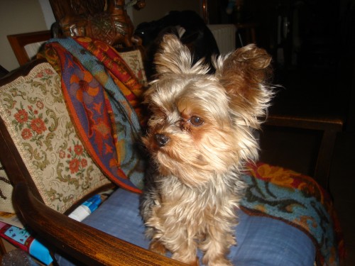 DSC00584 (2).JPG