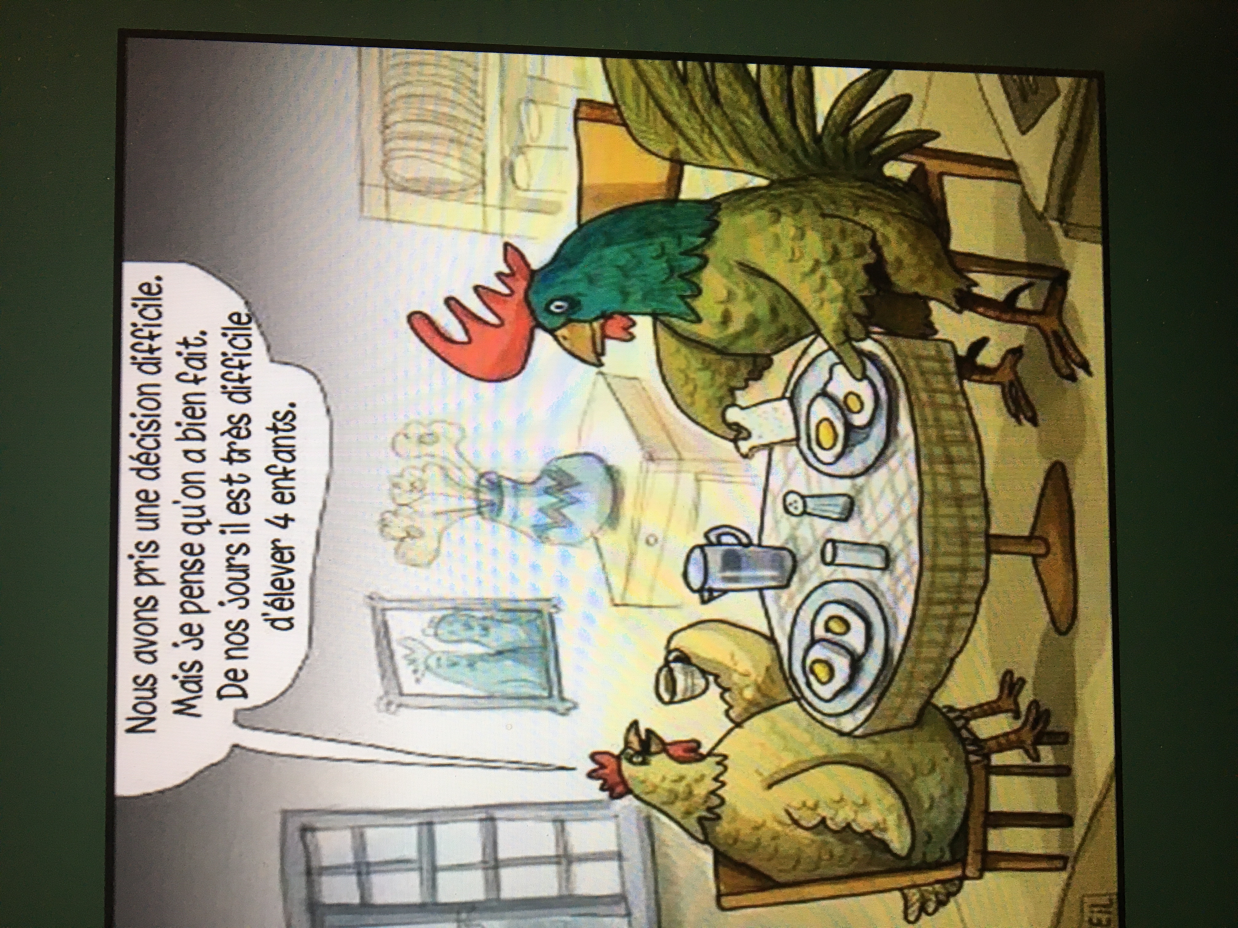 11.JPG