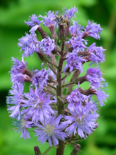 DSCN2782.JPG