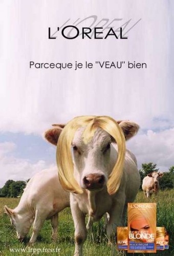 humour_femme_blonde_l_oreal_veau.jpg