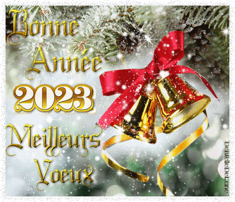 bonne année 2023.gif