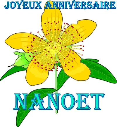 Anniversaire Nanoet.jpg