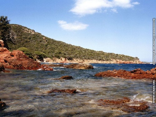 Corse_0004_1024_768.jpg
