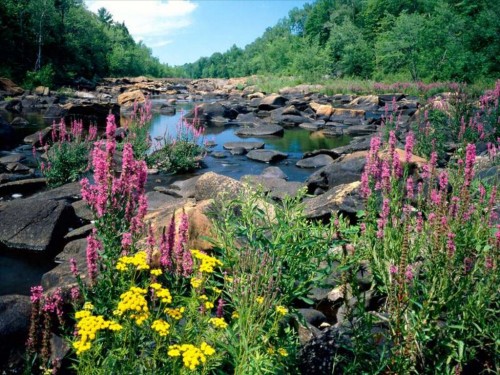 wisconsinriver077.jpg
