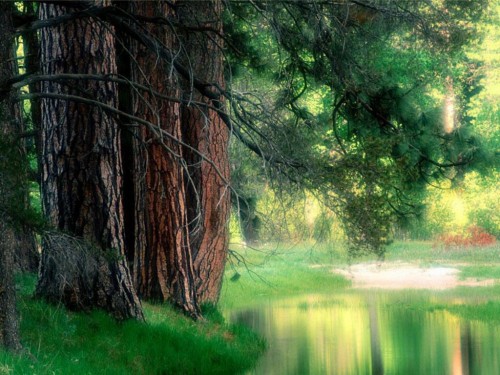 yosemite080.jpg