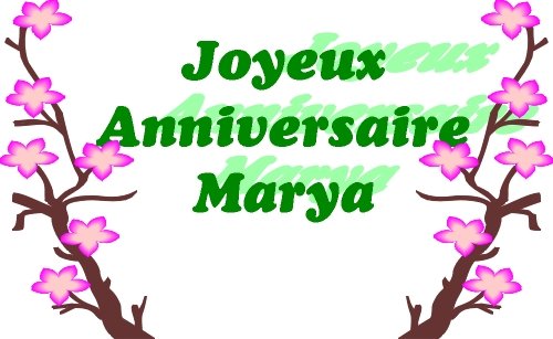 Anniversaire Marya.jpg