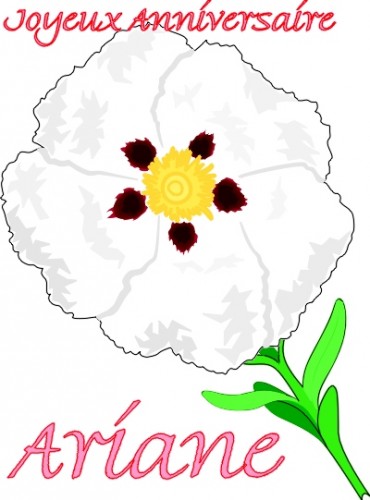 Anniversaire Ariane.jpg