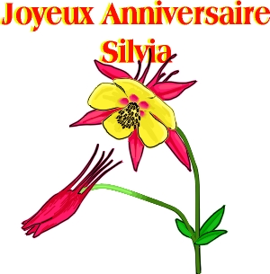 Anniversaire Silvia.jpg