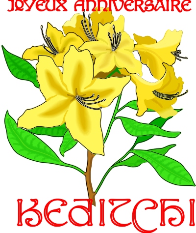 Anniversaire Keditchi.jpg