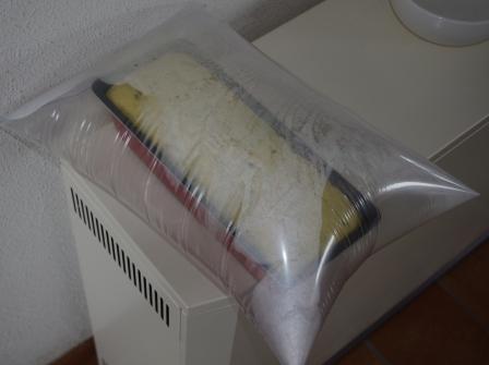 chataigne moule plastique 300.jpg