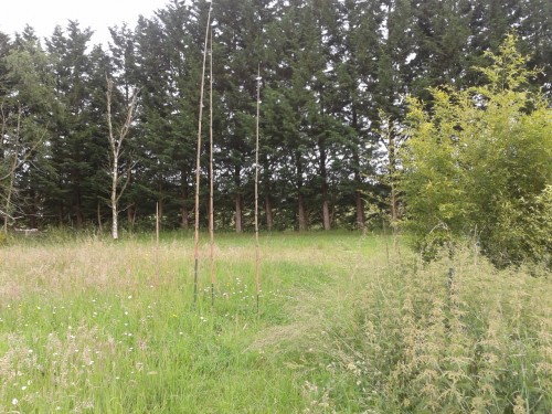 2013-06-18 17.54.34.jpg