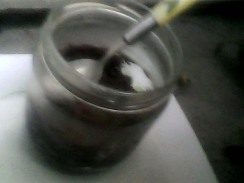 IMG0136A.jpg