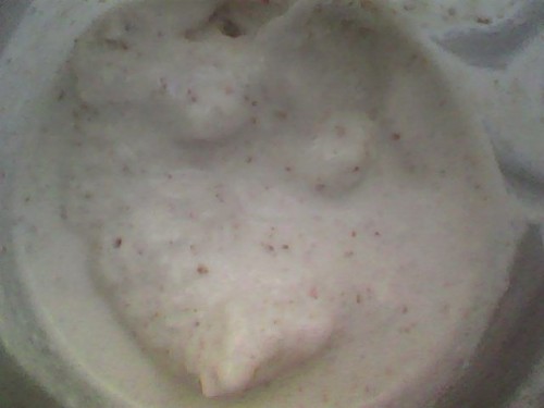 creme glace maison amandes.jpg