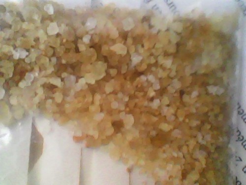 IMG0173A.jpg