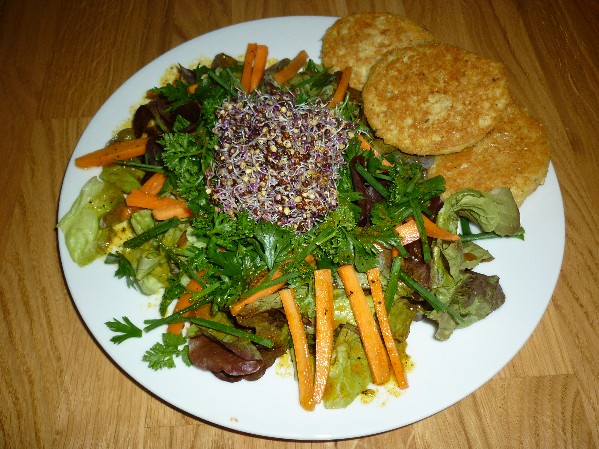 croquettes de millet prégermé et précuit.JPG