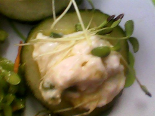 IMG0221A.jpg