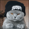 Chat impatient.gif