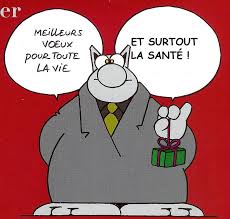 le chat bonne année.jpg