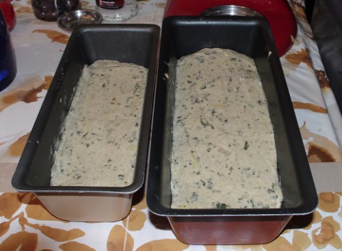 Pain pâton moule 02.2015.JPG