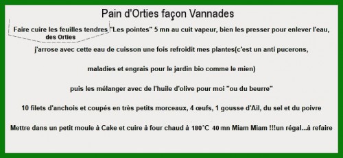 Pain d'Orties façon vannades recette.jpg