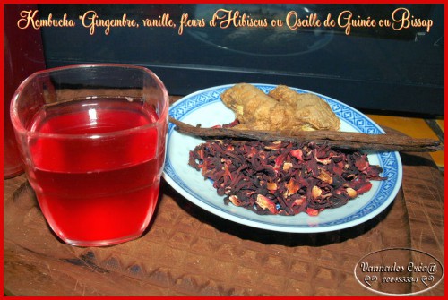 Kombucha Gingembre, vanille, fleurs d'Hibiscus ou Oseille de Guinée ou Bissap.JPG