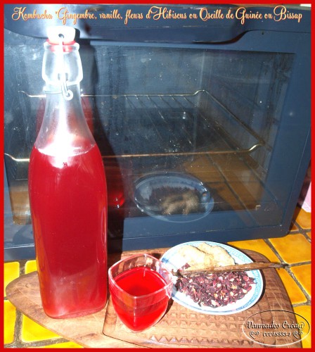 Kombucha Hibiscus.JPG