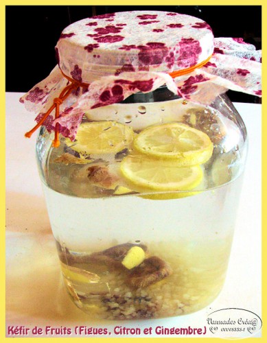 kéfir de fruits.jpg