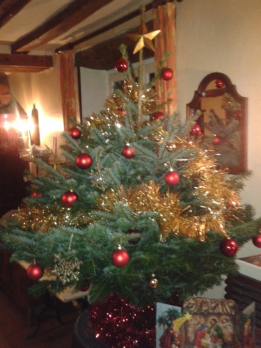 Sapin.jpg