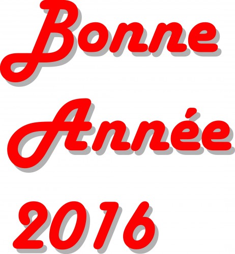 bonne année 2016.jpg