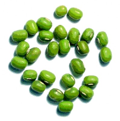 Haricots mungo secs (avant germination)