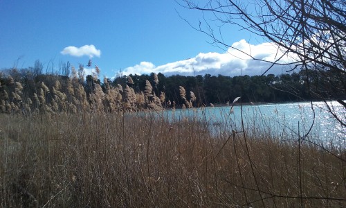 20160303_104043.jpg