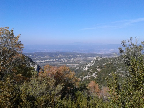 2014-10-30 13.00.09.jpg
