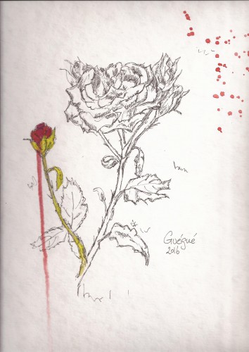 cuando hasta las flores lloran quand même les fleurs pleurent.jpg