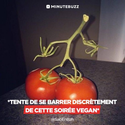 pour  végan.jpg