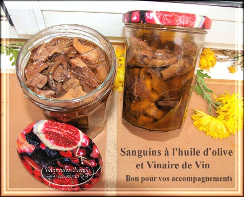 541728champignonssanguins.jpg