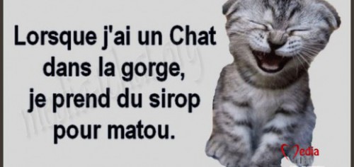 chat dans la gorge.jpg