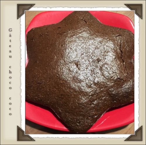 gateau choco coco.jpg