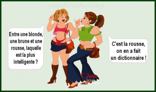 dictionnaire.jpg