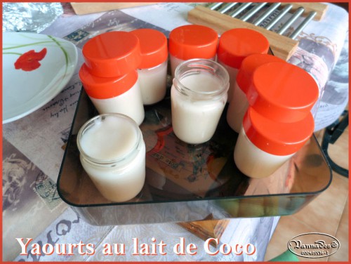 Yaourts au lait de coco.jpg