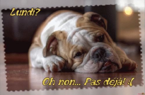 C'est reparti pour une semaine de spectacles non stop...