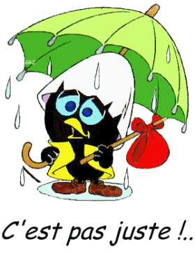 Calimero pluie.gif