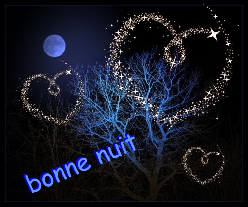 bonne nuit coeur.jpg
