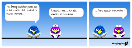 cannabis.png