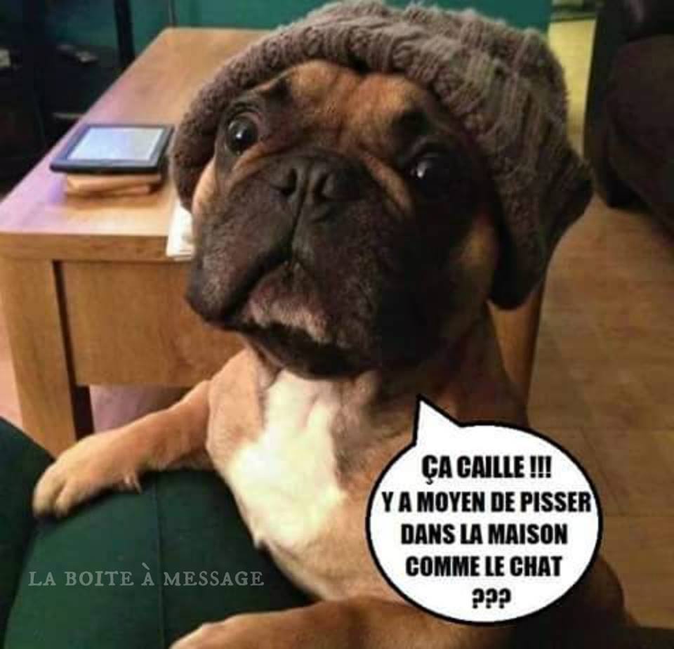 humour_029.jpg