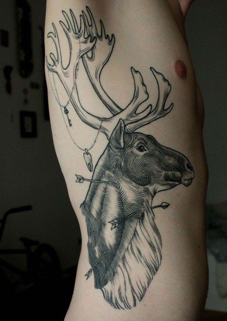 caribou.jpg